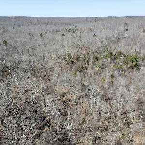 Photo #34 of Off Hatters Creek Road, Green Bay, VA 9.4 acres