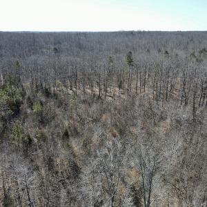 Photo #35 of Off Hatters Creek Road, Green Bay, VA 9.4 acres