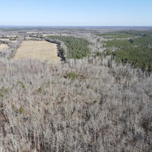 Photo #36 of Off Hatters Creek Road, Green Bay, VA 9.4 acres