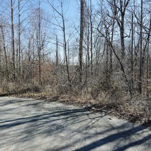 Photo #43 of Off Hatters Creek Road, Green Bay, VA 9.4 acres