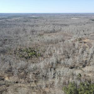 Photo #7 of Off Hatters Creek Road, Green Bay, VA 9.4 acres