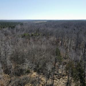 Photo #9 of Off Hatters Creek Road, Green Bay, VA 9.4 acres