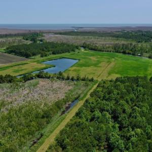 Photo #12 of SOLD property in 7 Wysocking Bay Drive, Engelhard, NC 0.5 acres