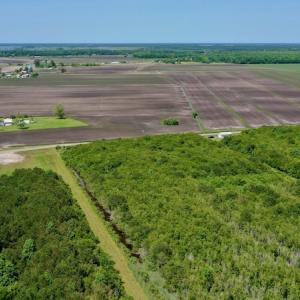 Photo #14 of SOLD property in 7 Wysocking Bay Drive, Engelhard, NC 0.5 acres