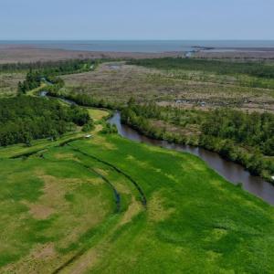 Photo #15 of SOLD property in 7 Wysocking Bay Drive, Engelhard, NC 0.5 acres