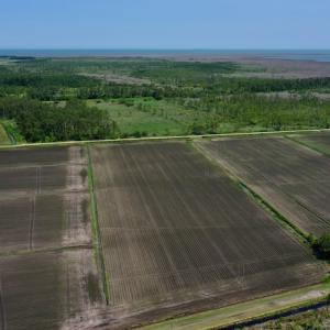 Photo #17 of SOLD property in 7 Wysocking Bay Drive, Engelhard, NC 0.5 acres