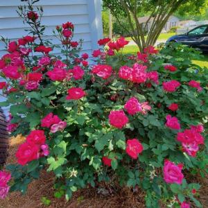 Photo #32 of SOLD property in 101 Cypress Drive, Edenton, NC 0.2 acres