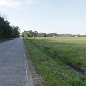 Photo #6 of SOLD property in 1333 School House Road, Elizabeth City, NC 10.0 acres