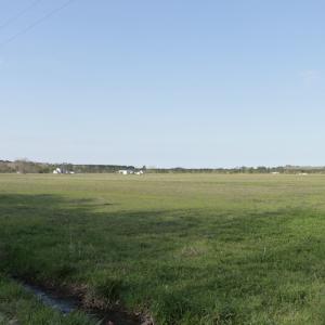 Photo #3 of SOLD property in 1333 School House Road, Elizabeth City, NC 10.0 acres