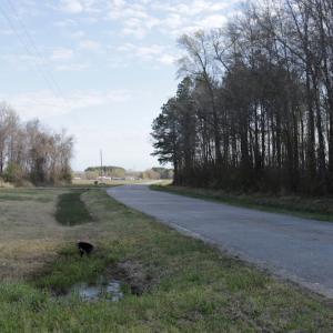 Photo #8 of SOLD property in 1333 School House Road, Elizabeth City, NC 10.0 acres