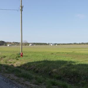 Photo #4 of SOLD property in 1333 School House Road, Elizabeth City, NC 10.0 acres