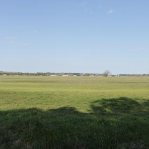 Photo #5 of SOLD property in 1333 School House Road, Elizabeth City, NC 10.0 acres
