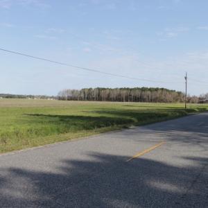 Photo #7 of SOLD property in 1333 School House Road, Elizabeth City, NC 10.0 acres
