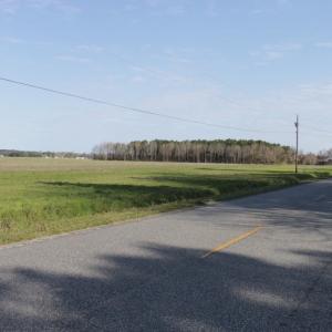Photo #8 of SOLD property in 1341 School House Road, Elizabeth City, NC 10.0 acres