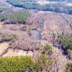 Photo #11 of SOLD property in Off Drake Road, Rocky Mount, NC 6.5 acres