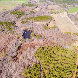 Photo #15 of Off Drake Road, Rocky Mount, NC 6.5 acres