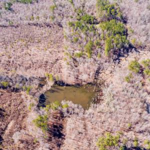 Photo #17 of SOLD property in Off Drake Road, Rocky Mount, NC 6.5 acres