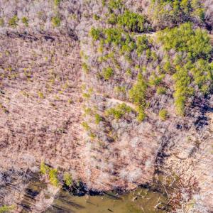 Photo #18 of Off Drake Road, Rocky Mount, NC 6.5 acres