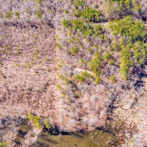 Photo #18 of SOLD property in Off Drake Road, Rocky Mount, NC 6.5 acres