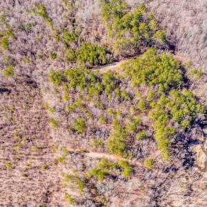 Photo #19 of SOLD property in Off Drake Road, Rocky Mount, NC 6.5 acres