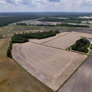 Photo #12 of Off Dover Fort Barnwell Road, Dover, NC 27.6 acres