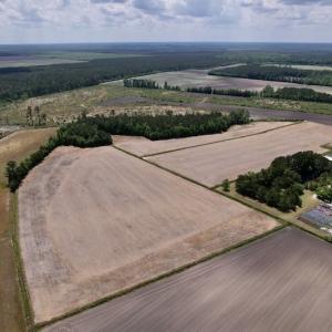 Photo #13 of Off Dover Fort Barnwell Road, Dover, NC 27.6 acres