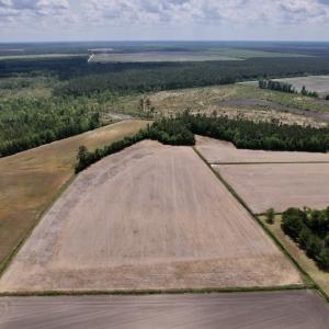 Photo #14 of Off Dover Fort Barnwell Road, Dover, NC 27.6 acres