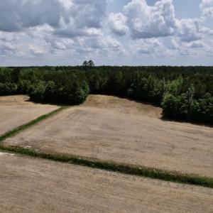 Photo #22 of Off Dover Fort Barnwell Road, Dover, NC 27.6 acres