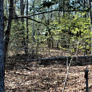 Photo #16 of SOLD property in Off Charbelee Drive, Charles City, VA 2.0 acres