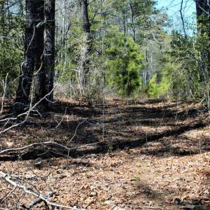 Photo #17 of SOLD property in Off Charbelee Drive, Charles City, VA 2.0 acres