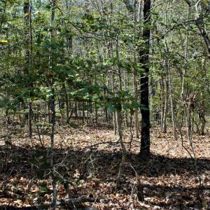Photo #20 of SOLD property in Off Charbelee Drive, Charles City, VA 2.0 acres