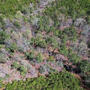 Photo #26 of SOLD property in Off Charbelee Drive, Charles City, VA 2.0 acres