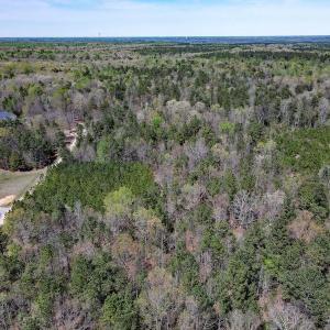 Photo #27 of SOLD property in Off Charbelee Drive, Charles City, VA 2.0 acres