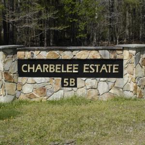 Photo #6 of SOLD property in Off Charbelee Drive, Charles City, VA 2.0 acres