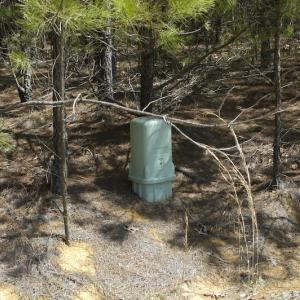 Photo #10 of SOLD property in Off Charbelee Drive, Charles City, VA 2.0 acres