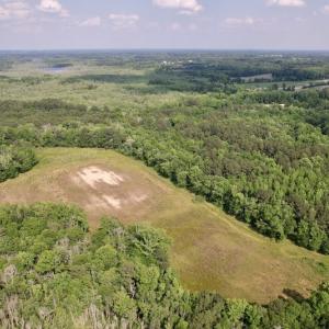 Photo #15 of 1322 Black Creek Road, Four Oaks, NC 80.0 acres