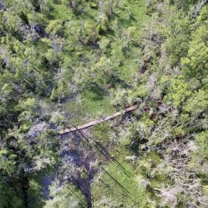 Photo #17 of 1322 Black Creek Road, Four Oaks, NC 80.0 acres