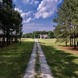 Photo #18 of 1322 Black Creek Road, Four Oaks, NC 80.0 acres