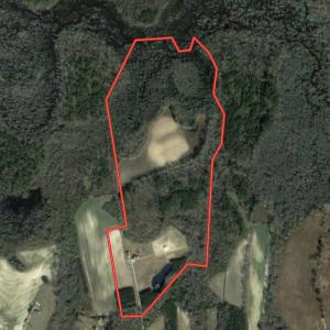 Photo #1 of 1322 Black Creek Road, Four Oaks, NC 80.0 acres