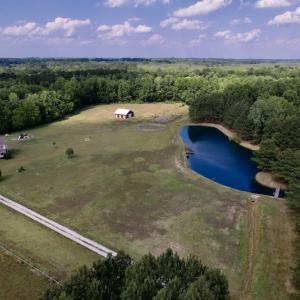 Photo #7 of 1322 Black Creek Road, Four Oaks, NC 80.0 acres