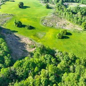 Photo #9 of On Bethel South Fork Road, Snow Camp, NC 36.0 acres