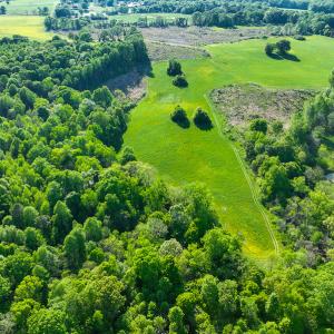 Photo #2 of On Bethel South Fork Road, Snow Camp, NC 36.0 acres