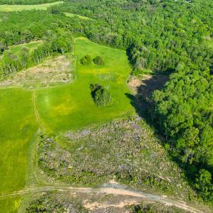 Photo #22 of On Bethel South Fork Road, Snow Camp, NC 36.0 acres