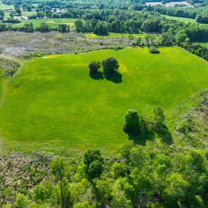 Photo #12 of On Bethel South Fork Road, Snow Camp, NC 40.2 acres