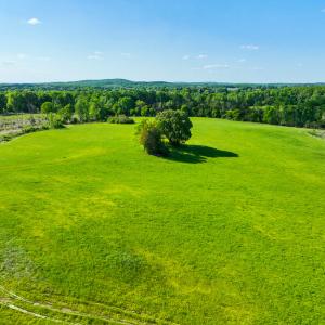 Photo #14 of On Bethel South Fork Road, Snow Camp, NC 40.2 acres