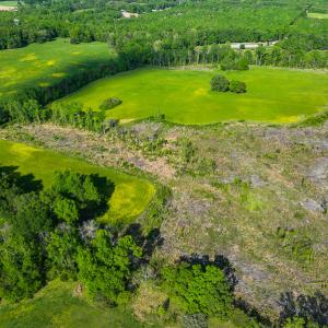 Photo #22 of On Bethel South Fork Road, Snow Camp, NC 40.2 acres