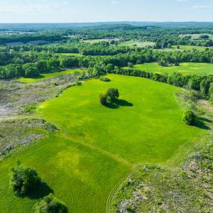 Photo #27 of On Bethel South Fork Road, Snow Camp, NC 40.2 acres