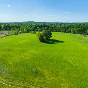 Photo #9 of On Bethel South Fork Road, Snow Camp, NC 76.3 acres