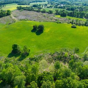 Photo #11 of On Bethel South Fork Road, Snow Camp, NC 76.3 acres