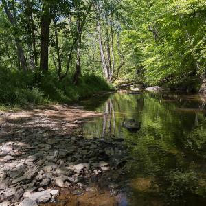 Photo #12 of On Bethel South Fork Road, Snow Camp, NC 76.3 acres